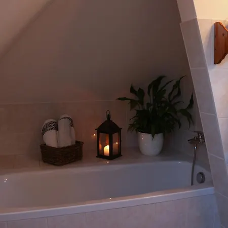 Spatzennest Apartment Frankenberg